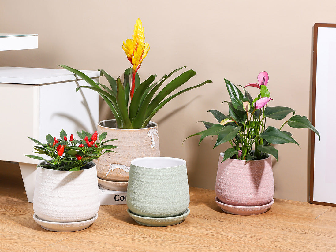 plant pot with attached saucer Hand Rolled Pot With Attached Saucer – JACKALOPE POTTERY
