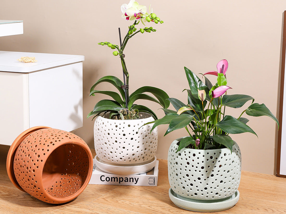 indoor orchid planter Rain Drop Orchid Planter-Sand – JACKALOPE POTTERY