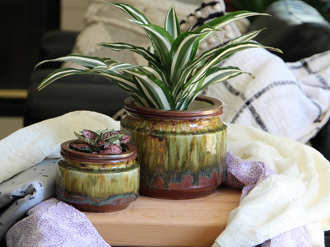 self watering pots for succulents Jewel Self-Watering Planter – JACKALOPE POTTERY