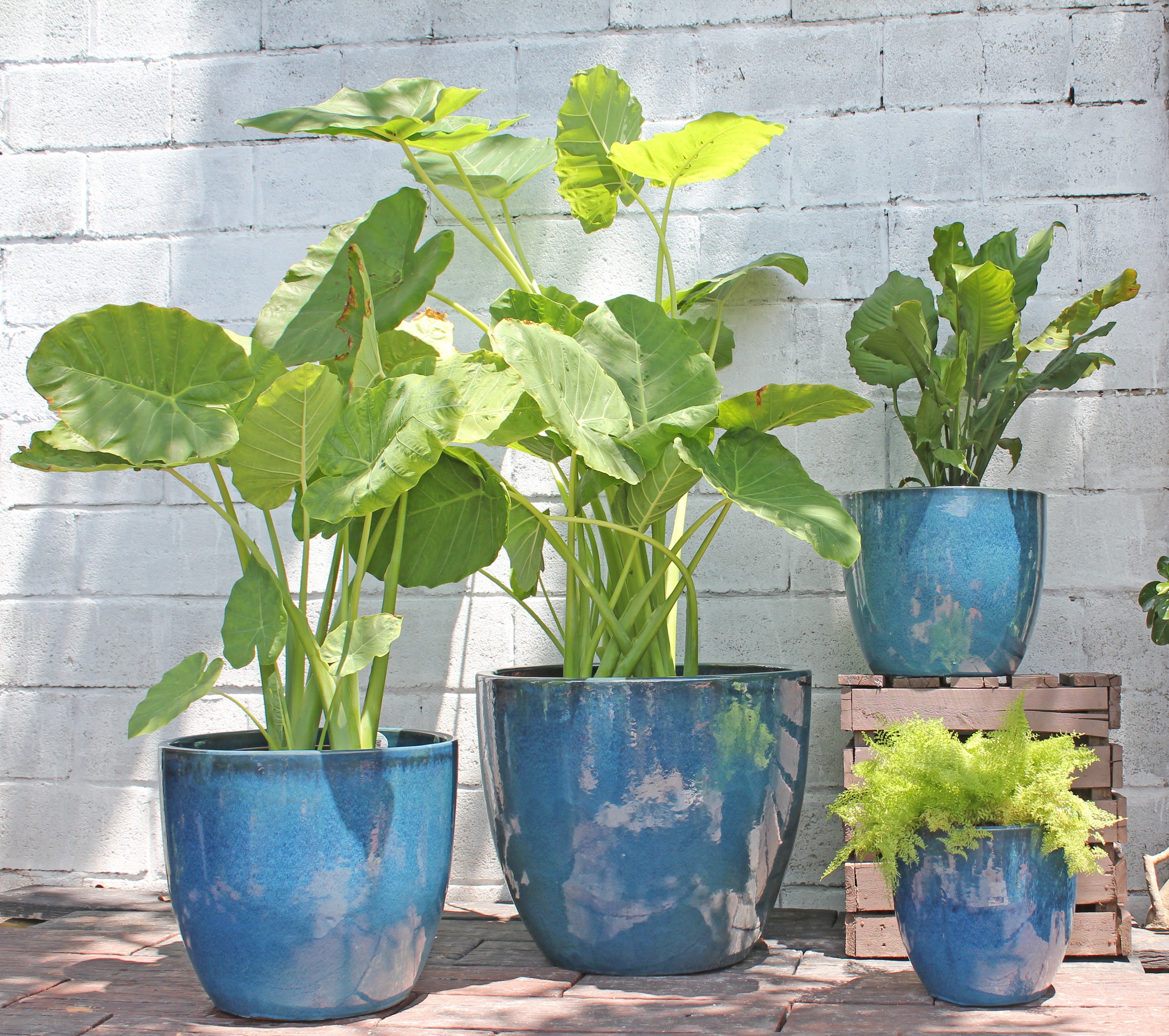 4 litre plant pots Coco Pots Glazed