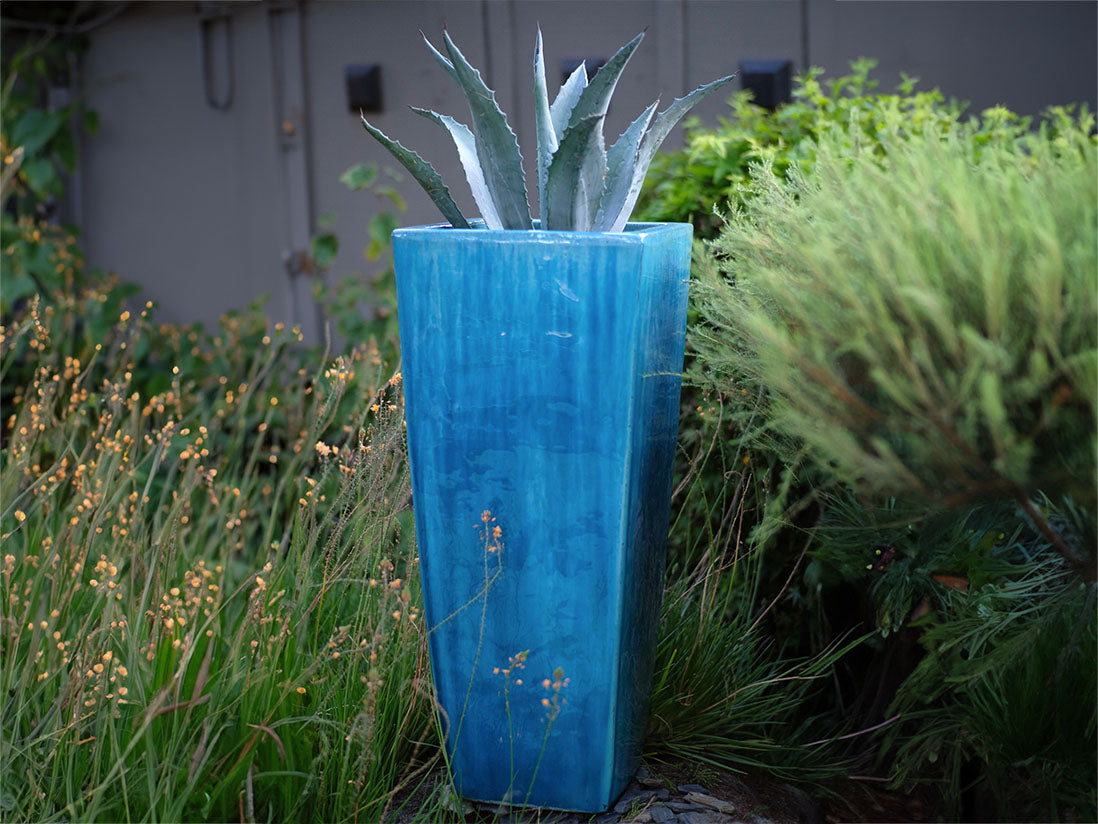 plants in square pot Medium Square Pot – JACKALOPE POTTERY