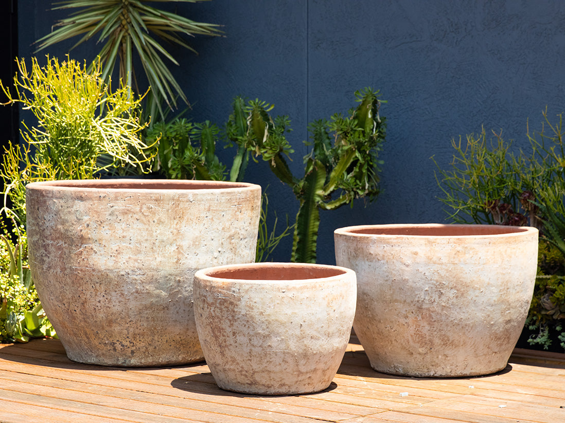 terracotta plant pots wilko XLG Rimless Parco Planter