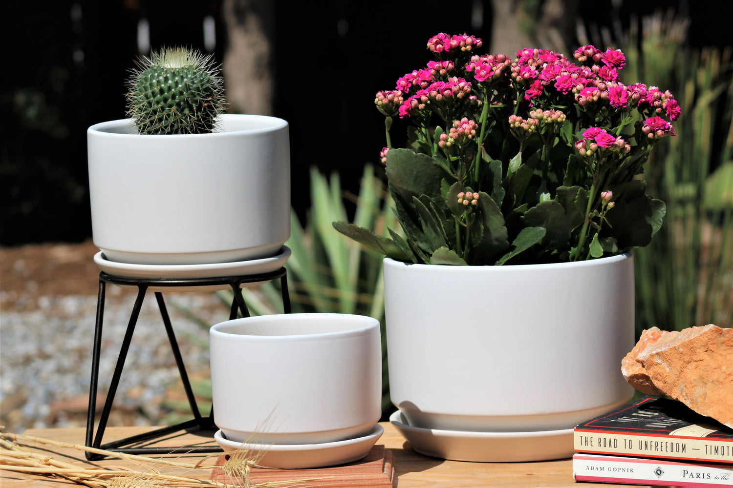 Retro Botanica