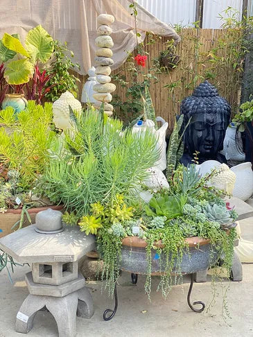 Plant Stands