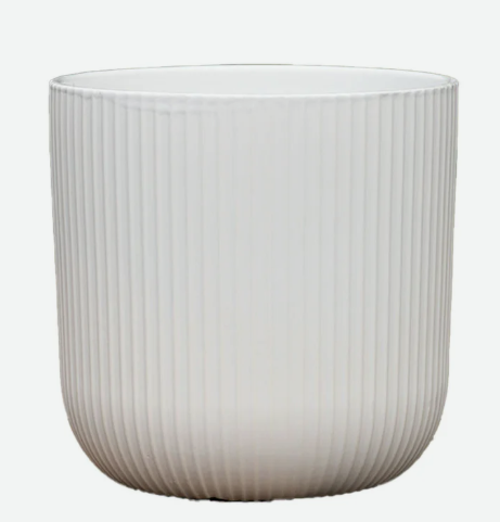 PD-T6087-A-11"X11.5"