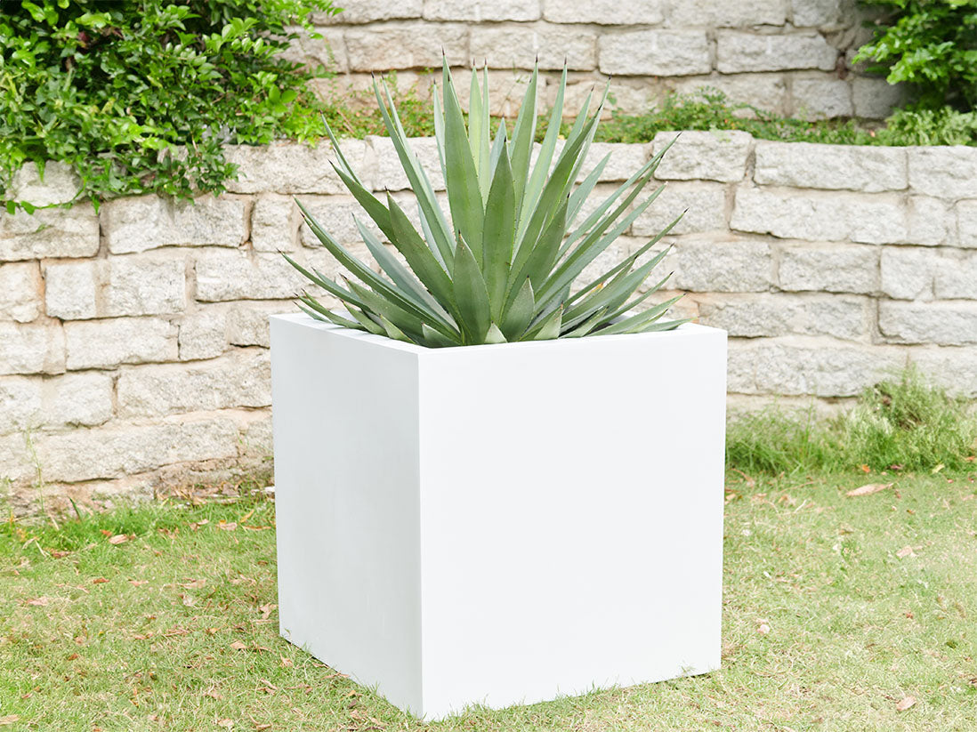 Cube Planter (Set of 6)