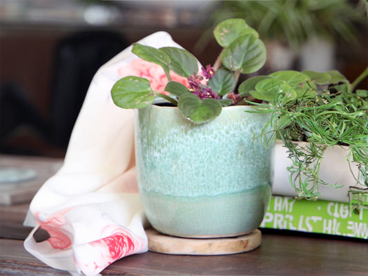 Jewel Teacup Planter