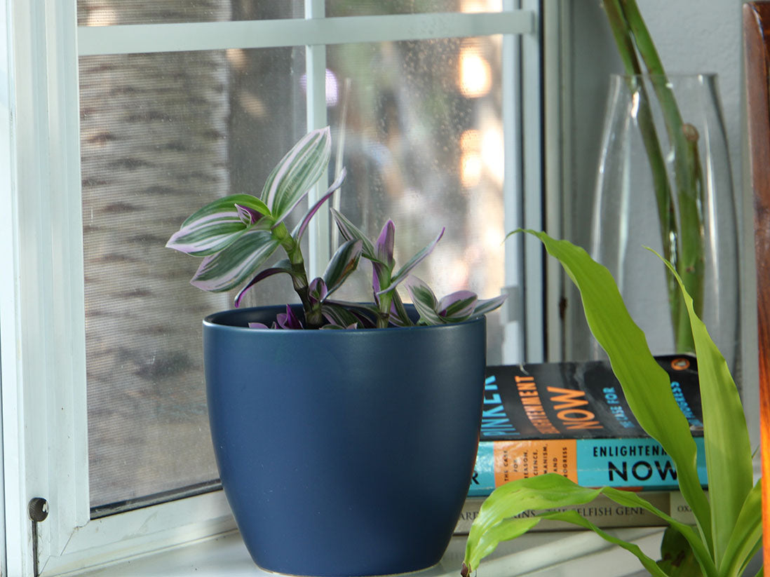 cache pots for indoor plants Peace Lily Cache Pot- 5.5" x 4.5" – JACKALOPE POTTERY