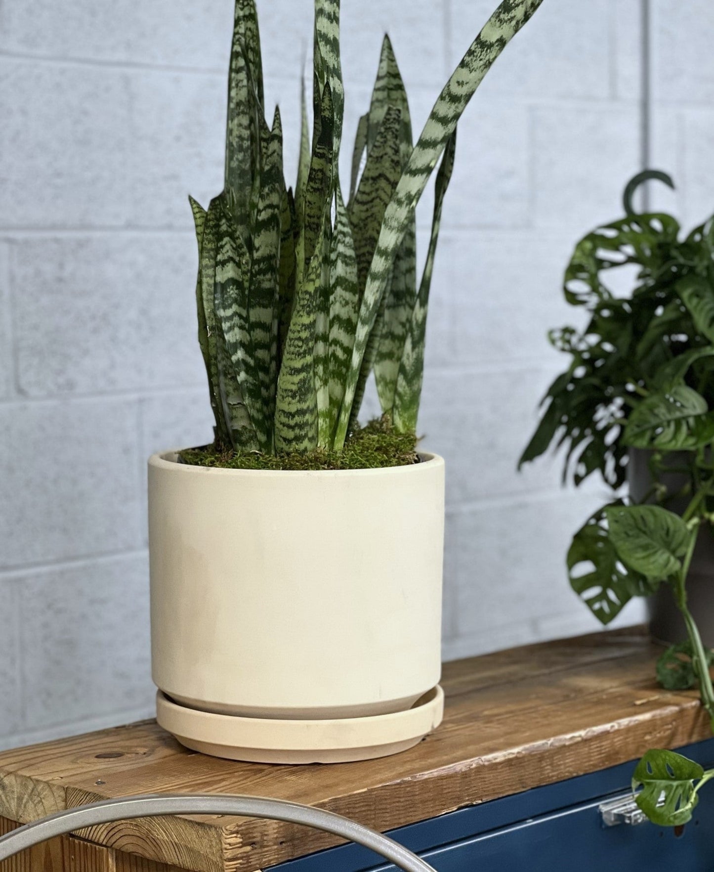 Mid Modern Planter With Detached Saucer