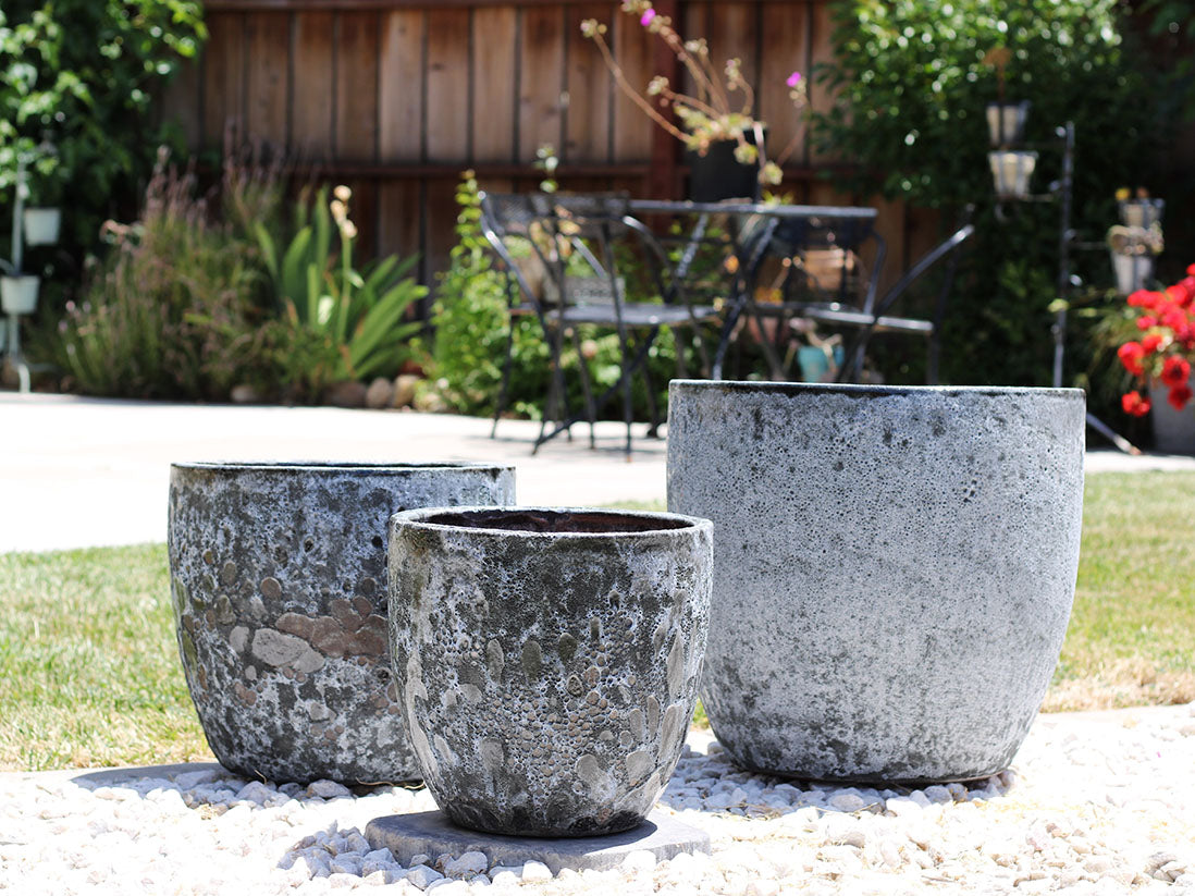 アガベ coco Coco Pots Coral - Set of 3 – JACKALOPE POTTERY