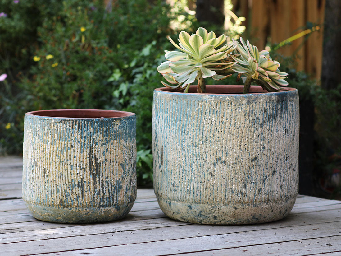 Delphinium Planter - Set of 2