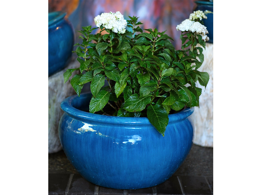 Low Jar Planter - Set of 3