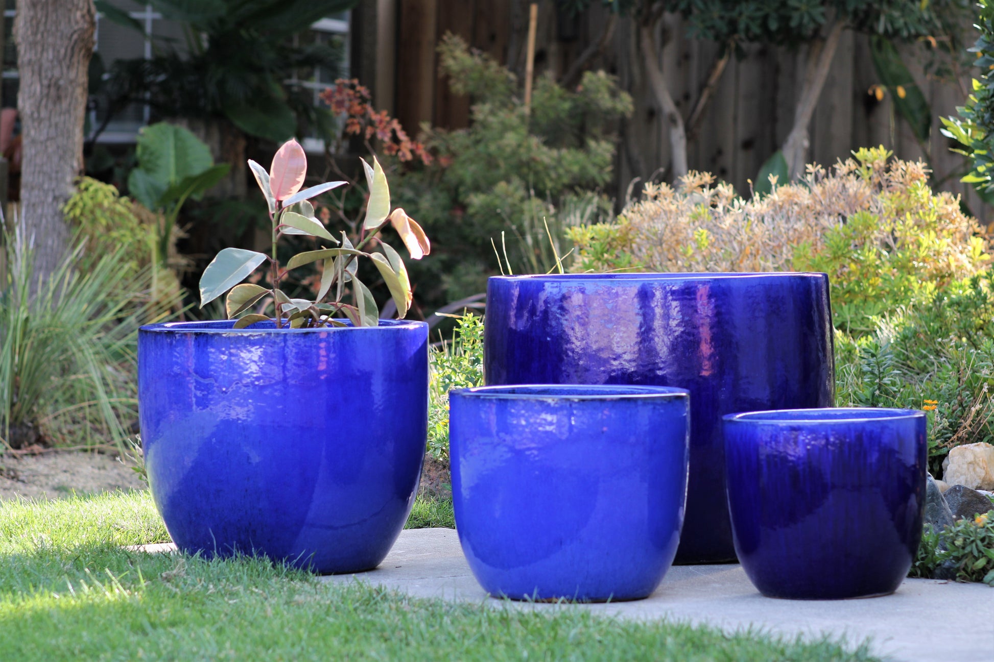 ceramic plant pots set Egg Shell Pots