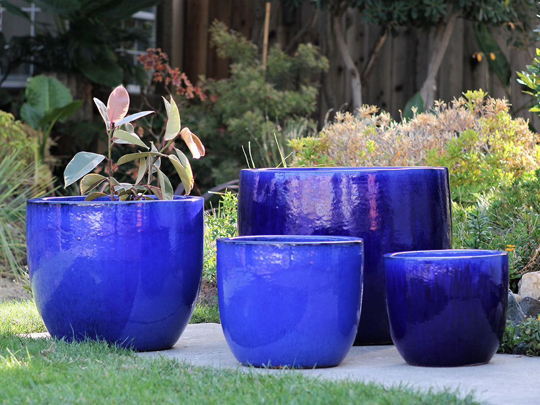 big pots plants Big Sonoma Planter