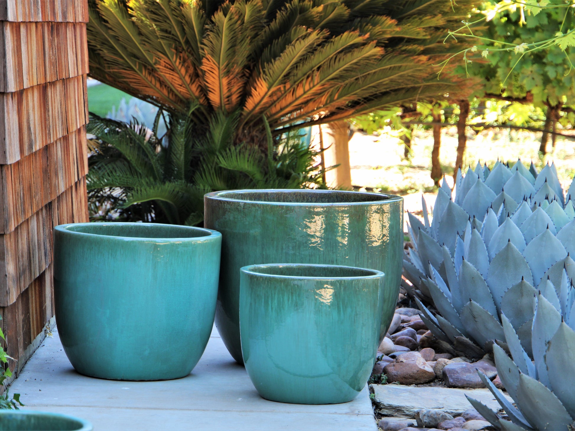 egg pot planter Egg Shell Pots