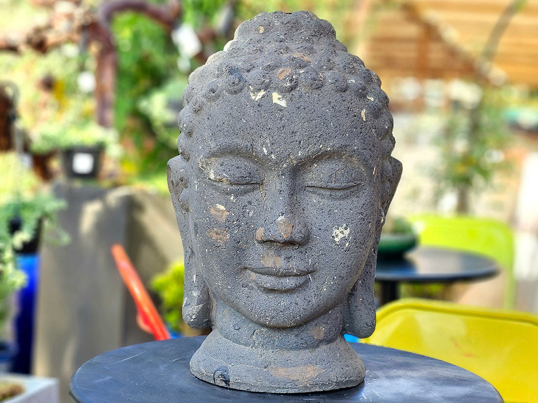 Buddha Head – JACKALOPE POTTERY