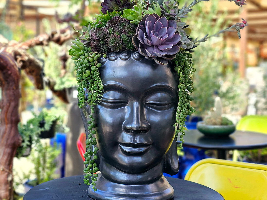 buddha head pot plant Buddha Head Planter – JACKALOPE POTTERY