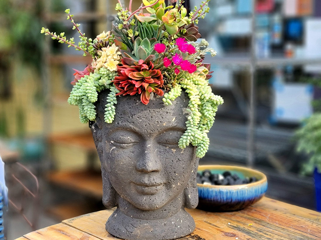 plant pot on head Buddha Head Planter – JACKALOPE POTTERY
