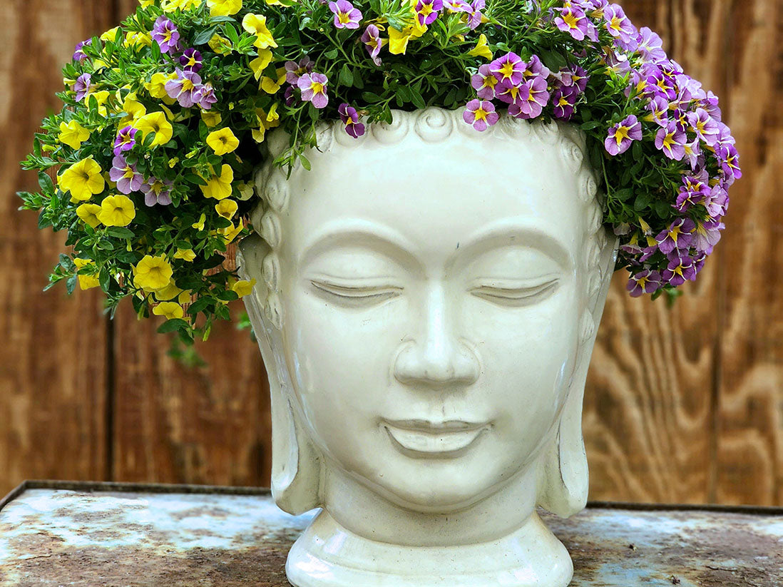 Buddha Head Planter