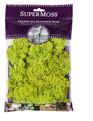 L&L-REINDEER MOSS CHARTREOUSE 2OZ