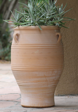 PT-G0062-E-14"X19.5"